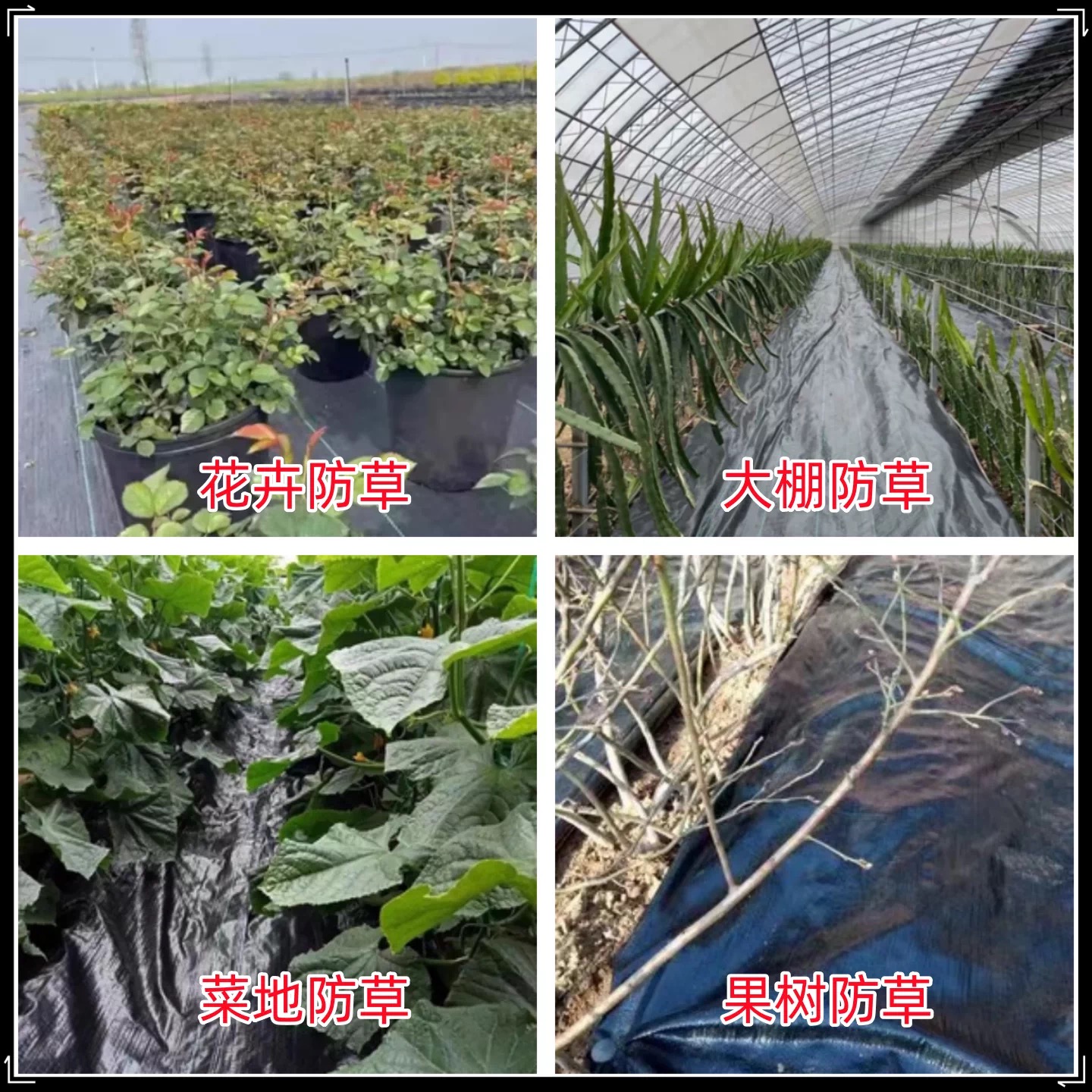 大同市黑白养殖膜防草布 - 厂家
