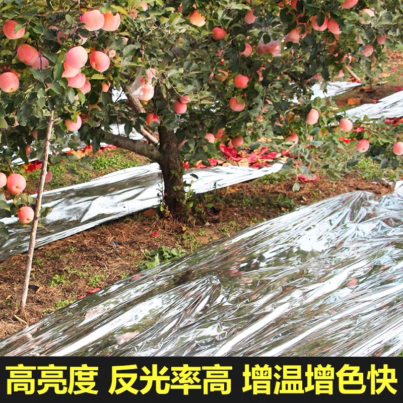 大同市农用薄膜果树反光膜 - 推荐